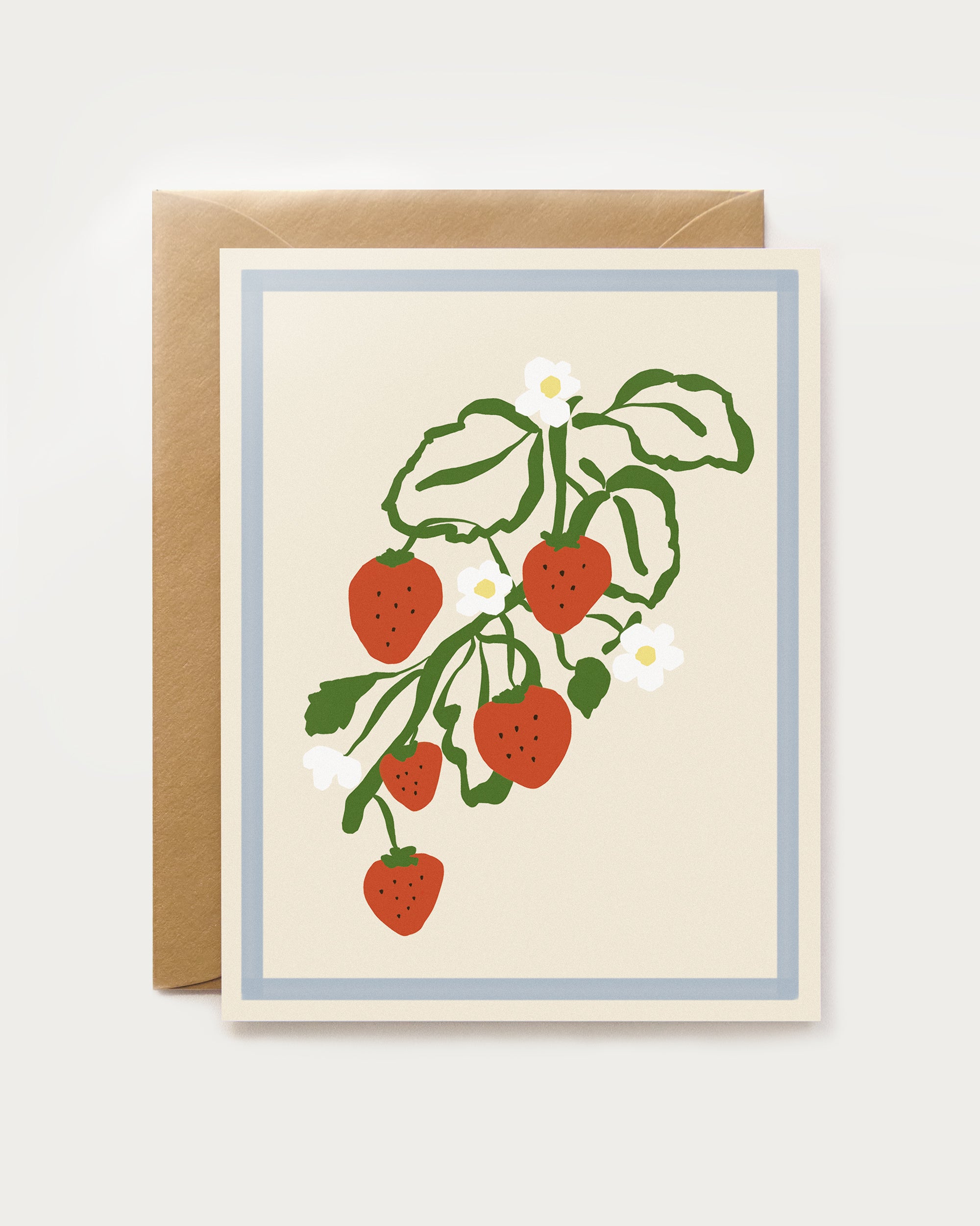 Harvest Assorted Box Set - Spring/Summer
