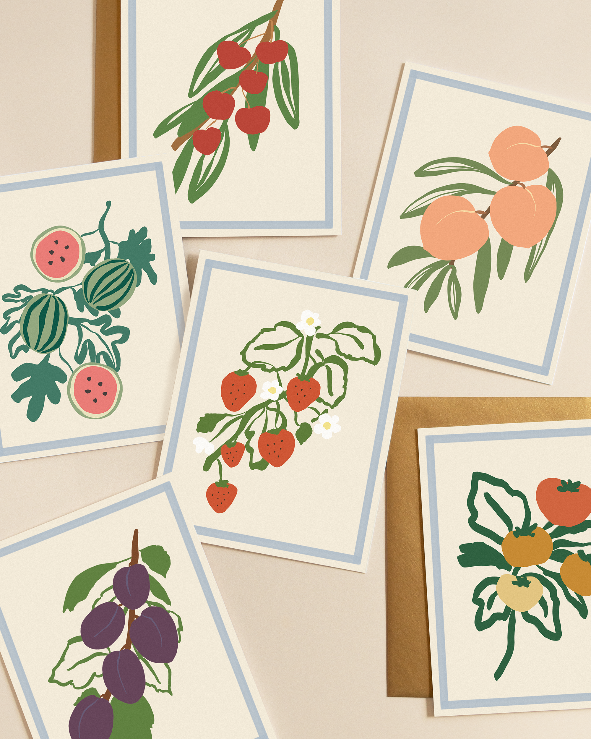 Harvest Assorted Box Set - Spring/Summer