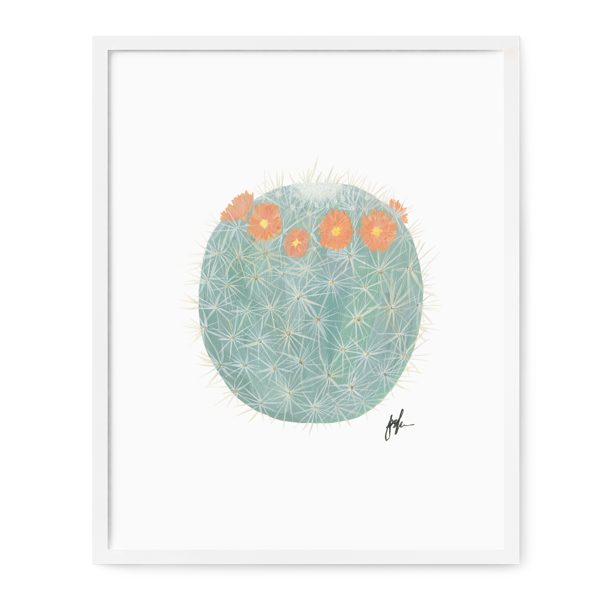 Flowering Cacti Art Prints