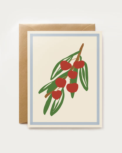 Harvest Assorted Box Set - Spring/Summer
