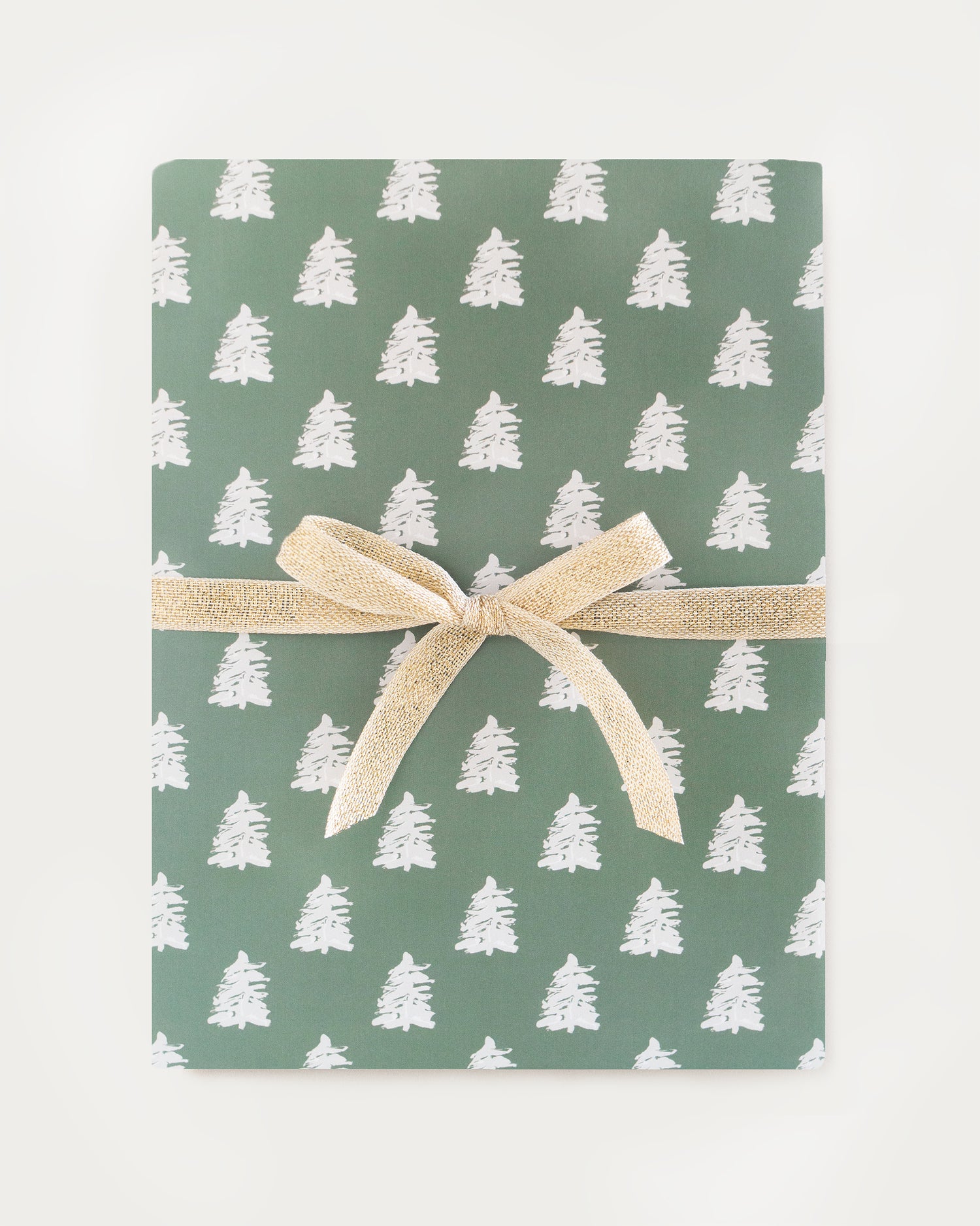 Evergreen Spruce Gift Wrap