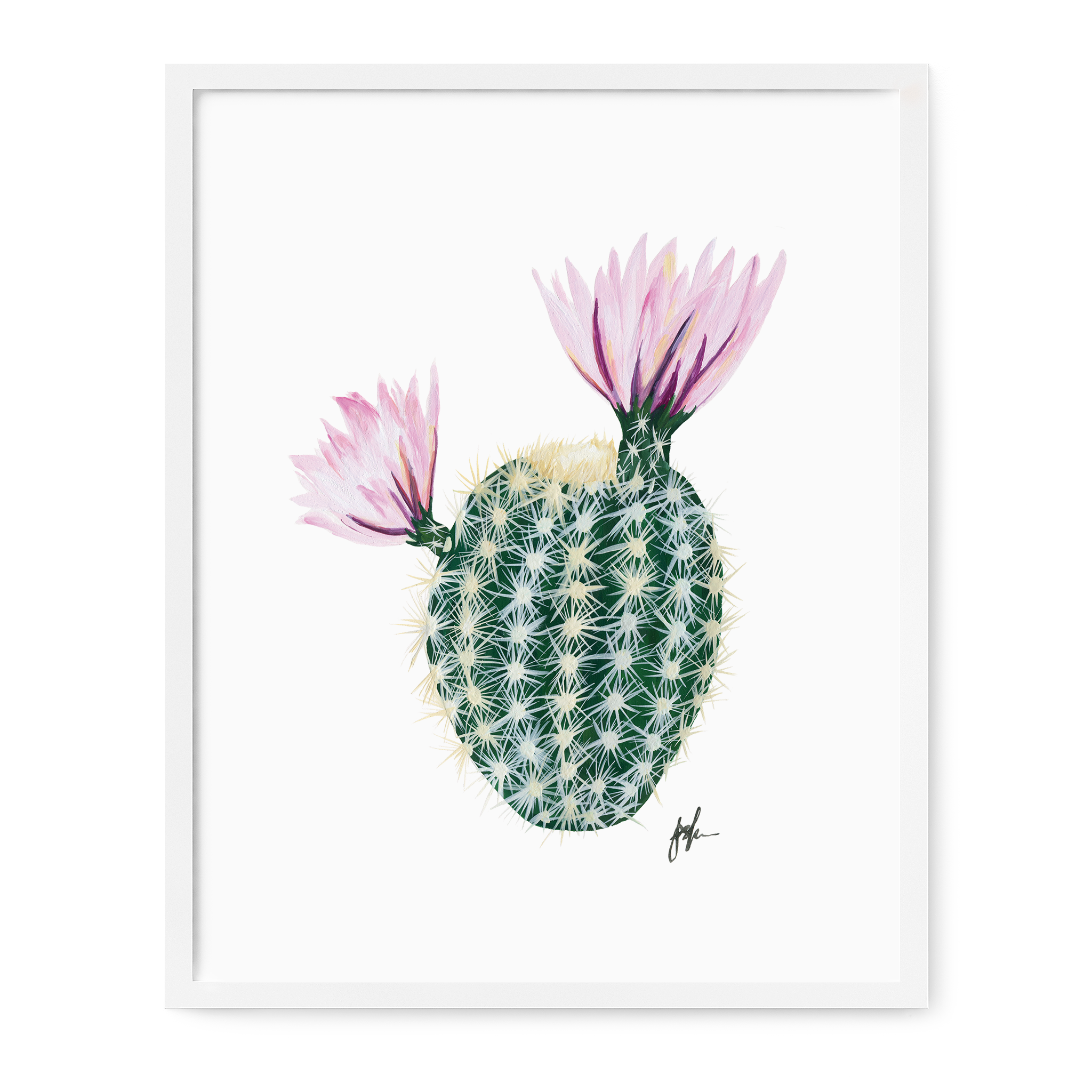 Flowering Cacti Art Prints