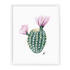 Flowering Cacti Art Prints