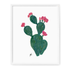 Flowering Cacti Art Prints