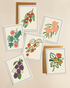Set of greeting cards with fruit illustrations paired with gold envelopes 
