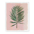 coastal collection art prints our heiday