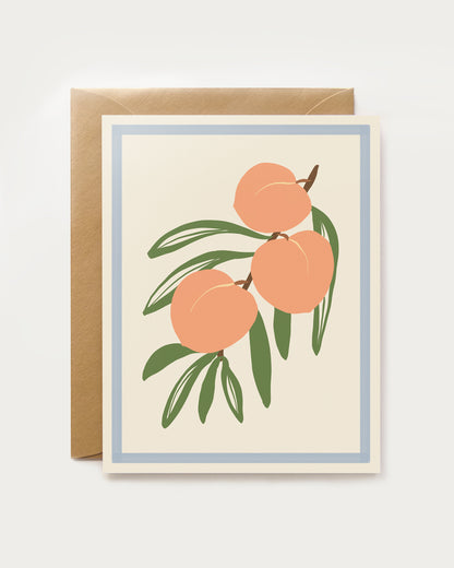 Harvest Assorted Box Set - Spring/Summer