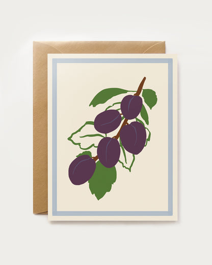 Harvest Assorted Box Set - Spring/Summer