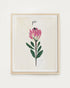 single stem art print our heiday