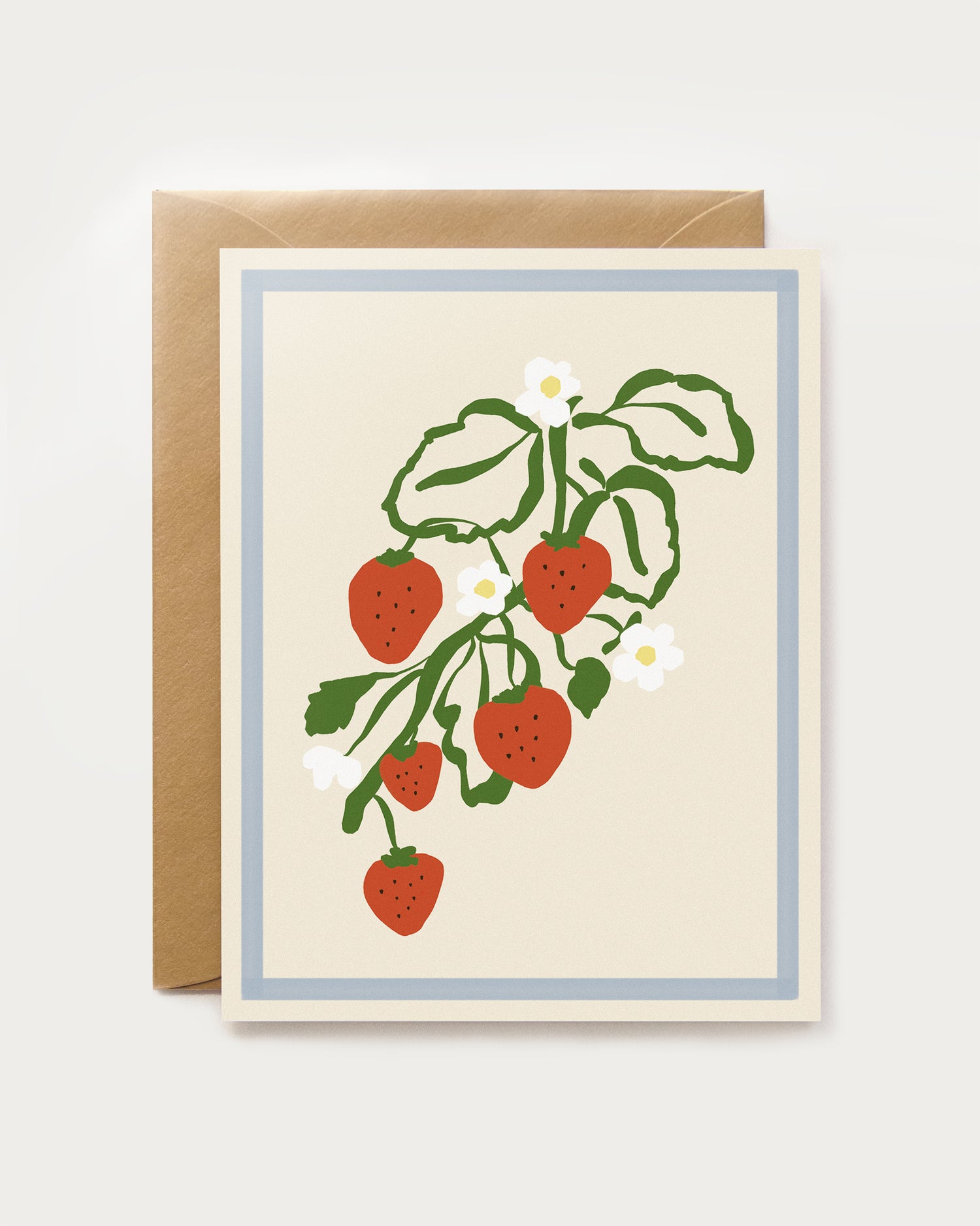 Harvest Assorted Box Set - Spring/Summer