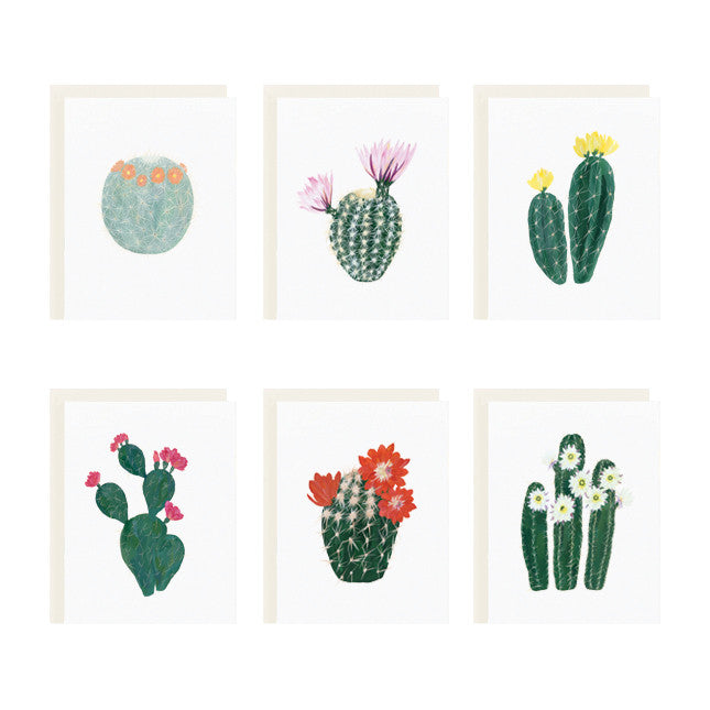 Flowering Cacti Assorted Card Set