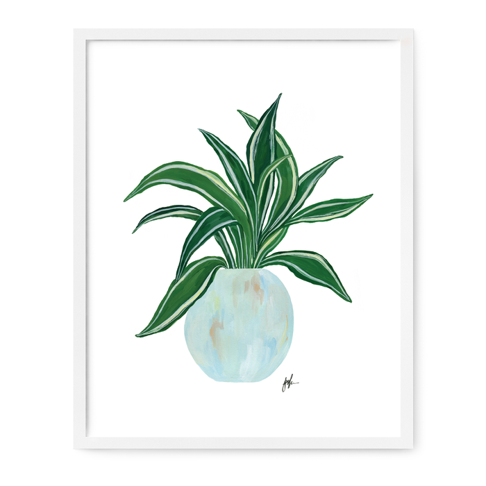 Dracaena Plant Print