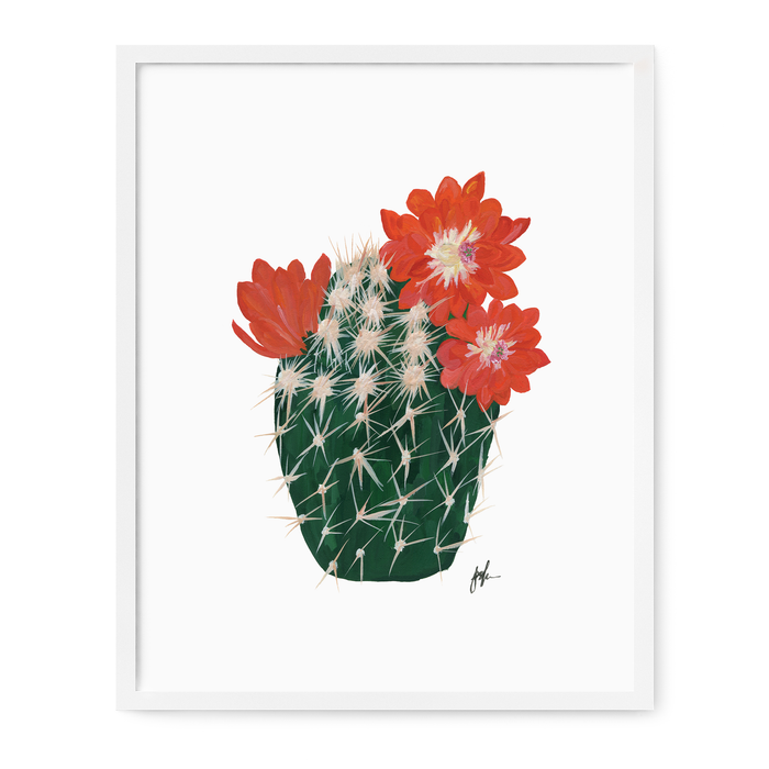 Flowering Cacti IV Print