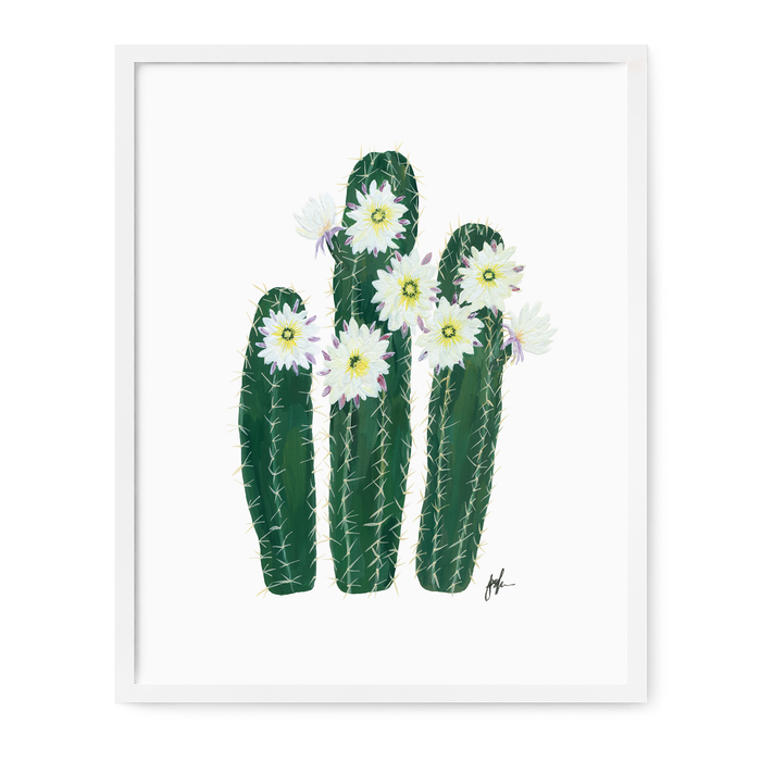 Flowering Cacti VI Print