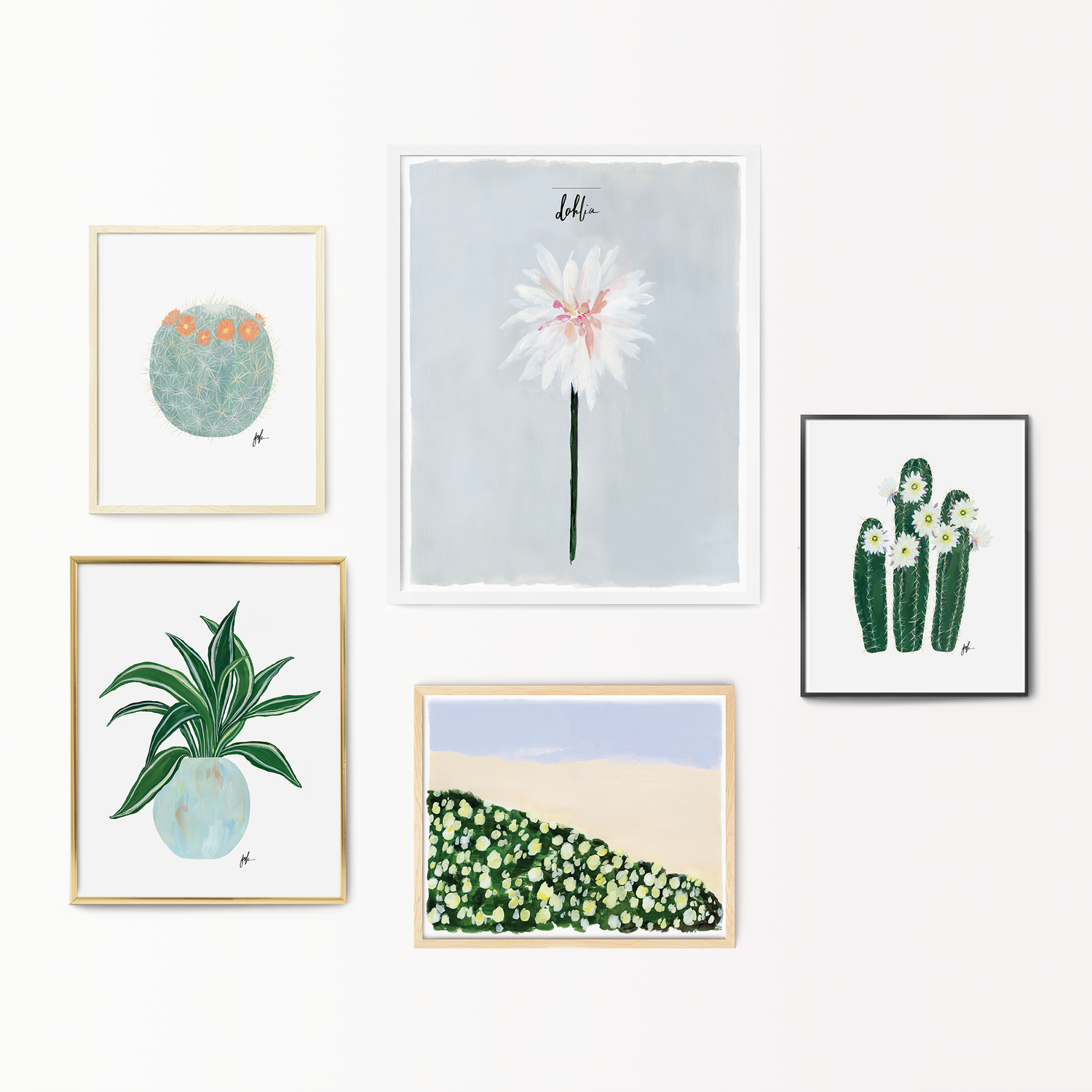 Flowering Cacti Art Prints