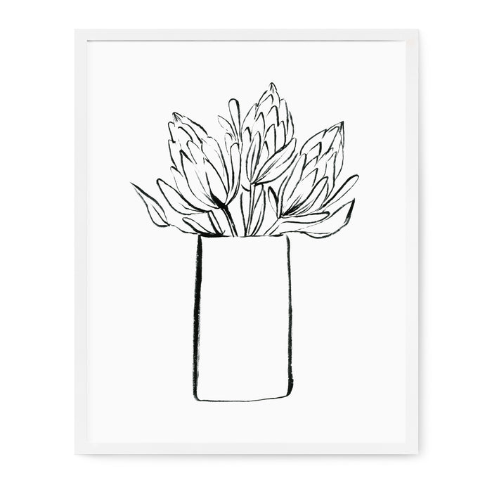 Floral Line Drawings - Proteas Print